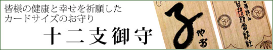 �F�l�̌��N�ƍK�����F�肵���A�J�[�h�T�C�Y�̂����u�\��x���v�̂��ē�