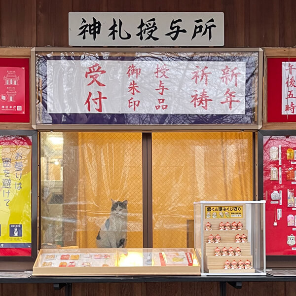 賀茂別雷神社